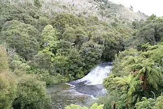 Makahu