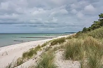 Hiddensee