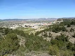 Vallée de Pliego.