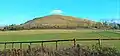 Hillfort de Hambledon Hill, site préhistorique dans le Dorset.