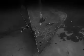 illustration de Hilma Hooker