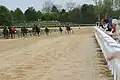 Course