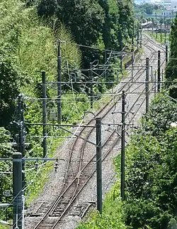 Shinano