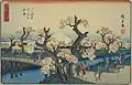 Fleurs Meisho (Koganei).