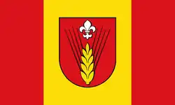 Drapeau de Glasin