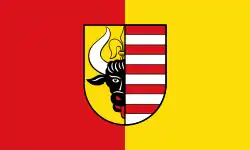 Drapeau de Penzlin