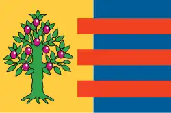 Drapeau de Hitzum