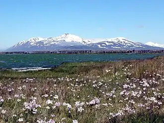 Hjalteyri