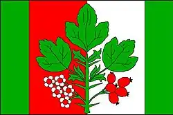 Drapeau de Hlohovčice
