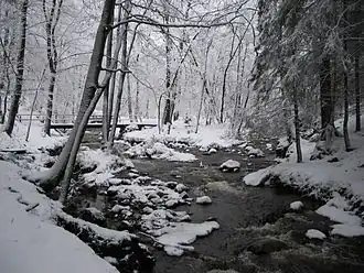La Hoëgne sous la neige.