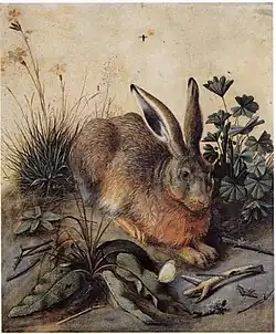 Hans Hoffmann, Lièvre entouré de plantes, 57&nbsp;×&nbsp;49&nbsp;cm, Galerie Corsini, Rome, Galleria Nazionale d'Arte Antica.