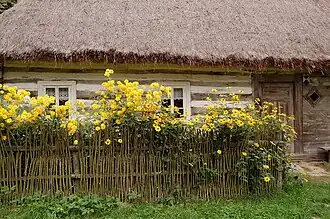 Hola (Włodawa)