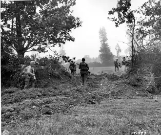 Trouée dans une haie du bocage faite par un Sherman Rhino.