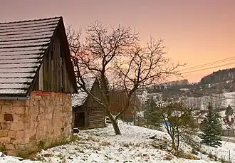 Holenice