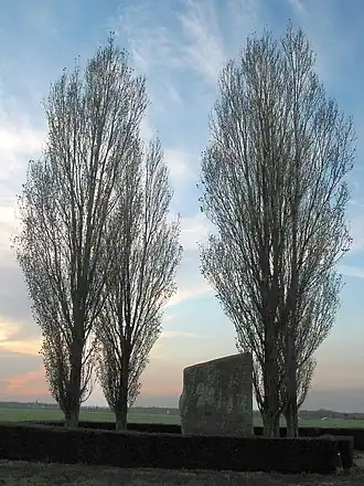 Brunehaut (Belgique)
