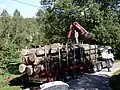 Chargement pour le transport de peupliers en Dordogne.