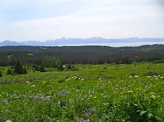 Diamond Ridge