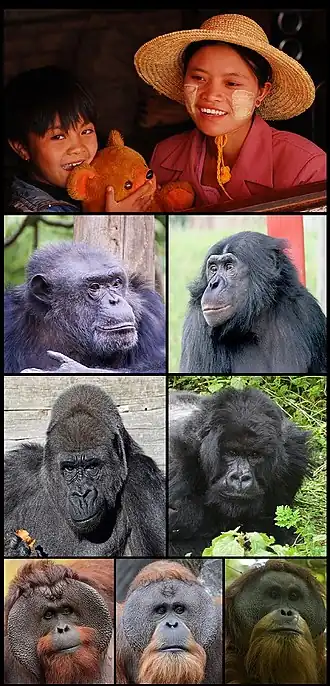 Description de cette image, également commentée ci-après