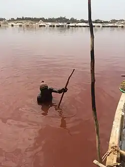 Homme grattant le fond du lac Rose pour en extraire le sel.