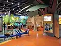 Galerie de découverte pour les enfants.