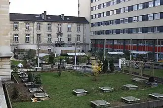 Jardin.