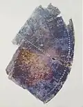 Fragment de disque, Grand (Vosges).