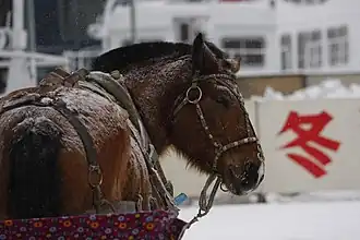 Image illustrative de l’article Cheval en Chine