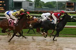 Photo d'une course hippique.