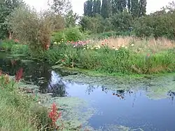 Hortillonnages.