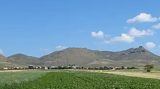 Hovuni