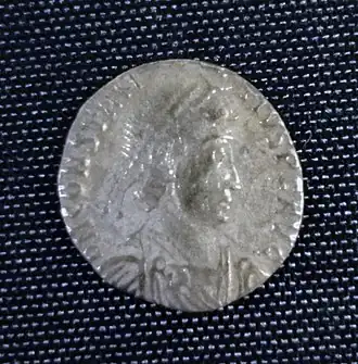 Une siliqua partiellement rognée.
