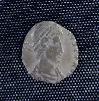 Une siliqua fortement rognée.