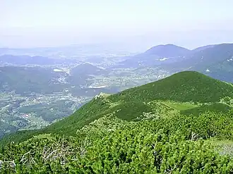 Pazarić
