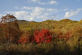 Huadian