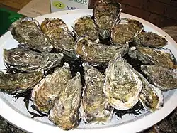 Assiette d'huîtres creuses (ou « japonaises » : Magallana gigas)