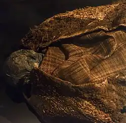 La femme d'Huldremose, découverte en 1879 dans une tourbière, près de Ramten (Danemark)