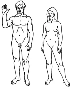 Homme moderne