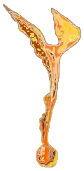 Illustration.