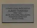 Albert Škarvan