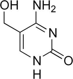 Image illustrative de l’article 5-Hydroxyméthylcytosine