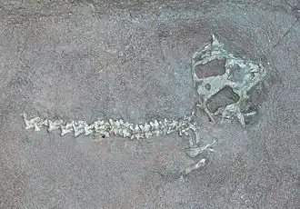 Description de cette image, également commentée ci-après