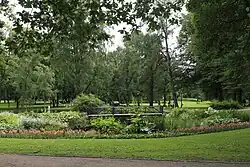 Photo.