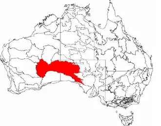 Description de l'image IBRA 6.1 Great Victoria Desert.png.