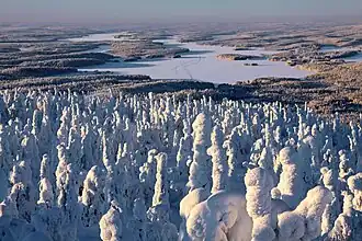 Kuusamo