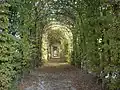Une des allées d'une longueur de 150 mètres qui délimitent le jardin, dénommées berceaux et composées de charme commun.