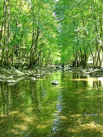 Boucif Ouled Askeur