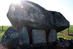 Image illustrative de l’article Dolmen de Brownshill