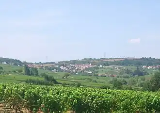 Montagny-lès-Buxy