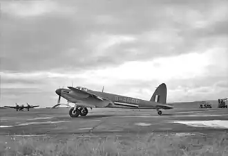 Mosquito et