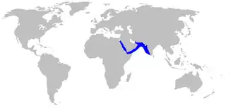 Description de l'image Iago_omanensis_distmap.png.